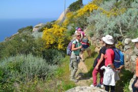 giglio trek 6