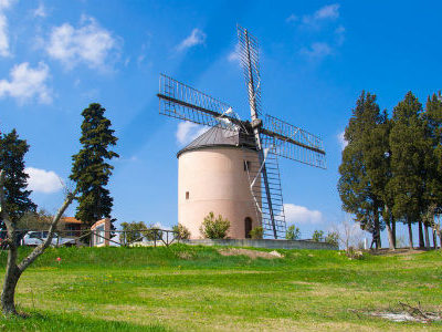 Firenze, Chianti e Valdelsa